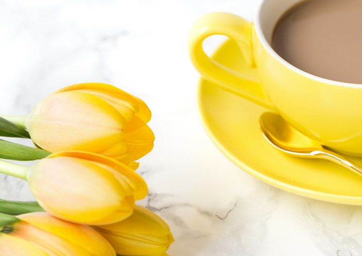 Bird by Bird by Anne Lamott is the latest book in the Smart Twenties Book Club. Read to find out why it's perfect for aspiring writers in their twenties.