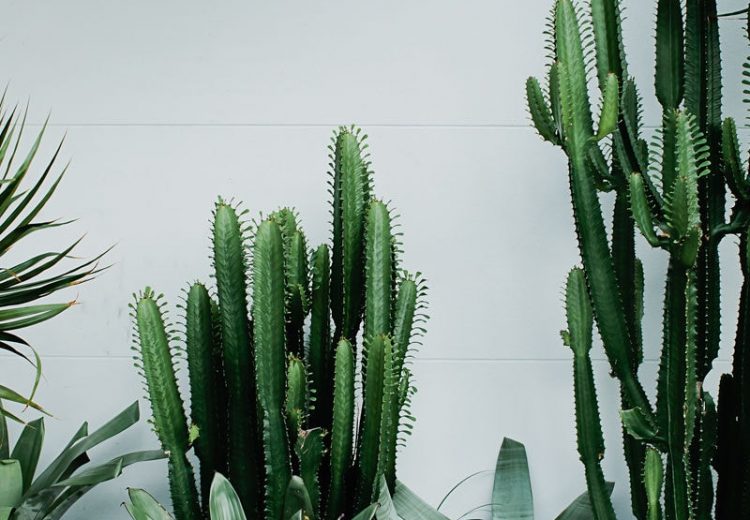 Episode 110: 3 Ways You’re Unknowingly Sabotaging Your Personal Growth